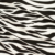 4X2 Stretch Rib Knit Zebra Print White/Black