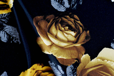 golden roses double brushed fabric
