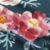 Modal Spandex Floral Bouquet Teal/Mauve