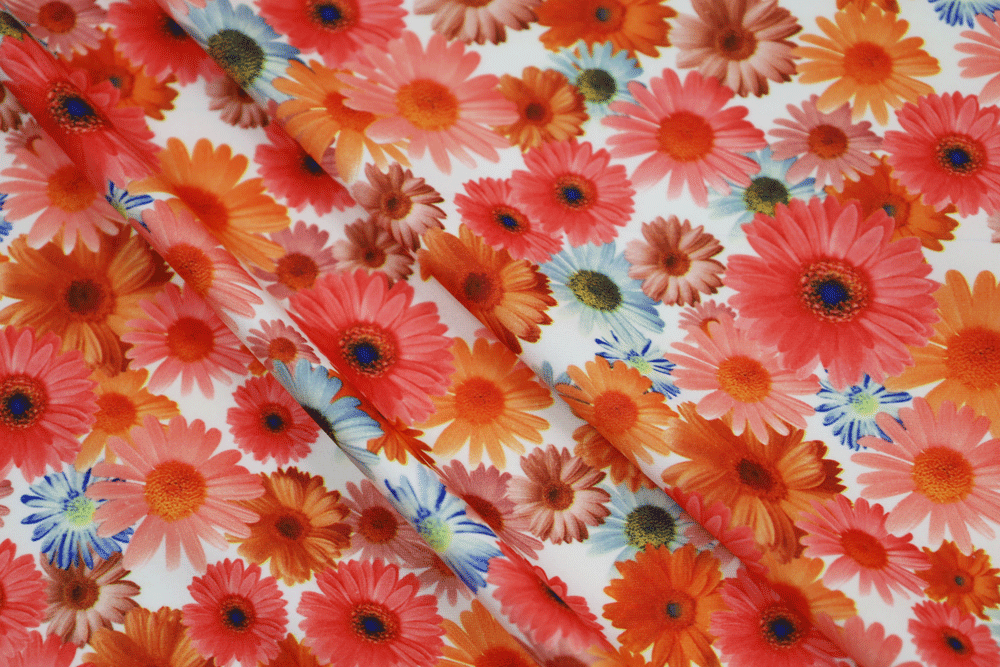 Double Brushed Spring Daisies Ivory/Coral